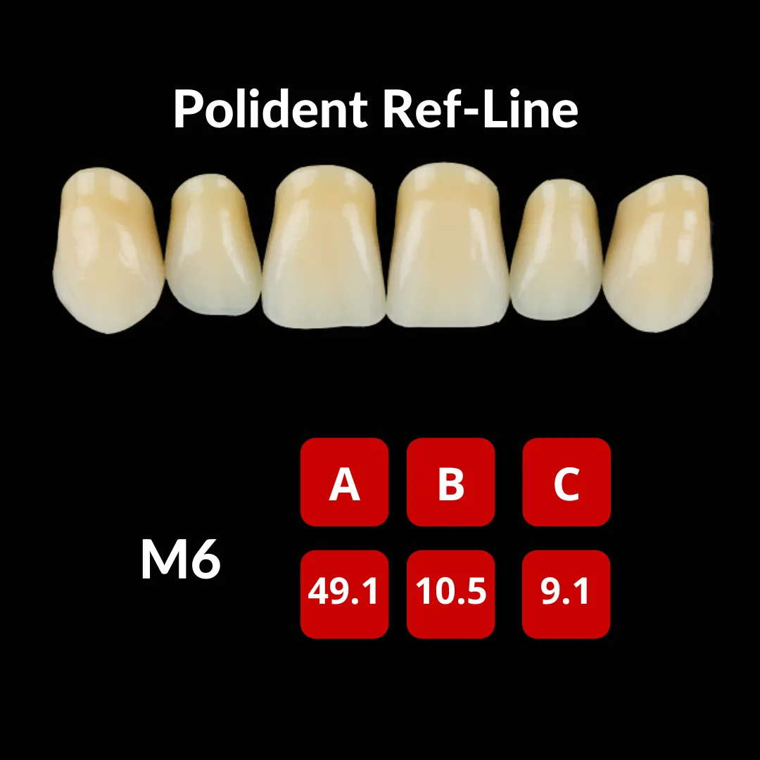 Polident Ref-Line Artificial Teeth Shade A3
