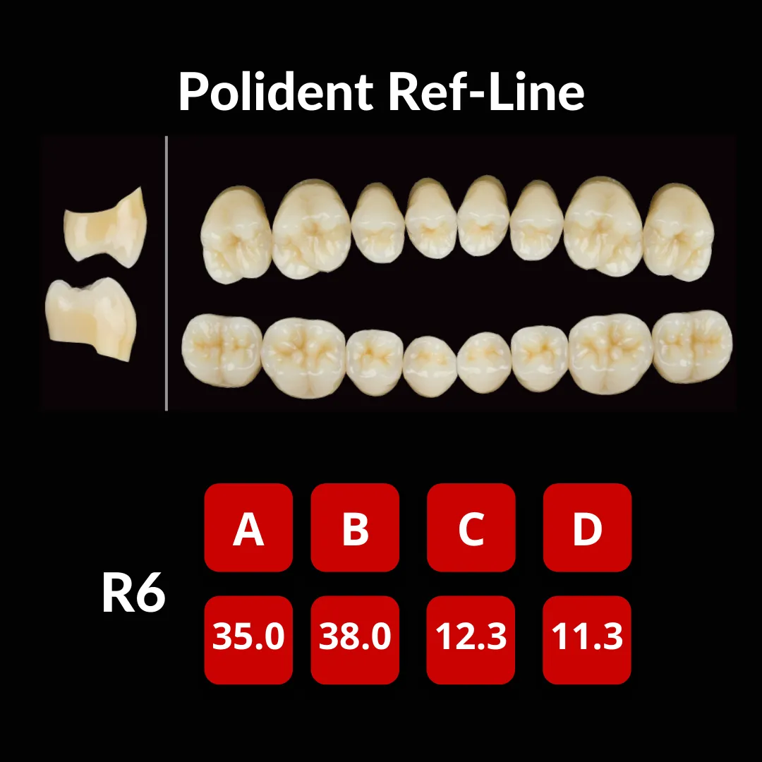 Polident Ref-Line Artificial Teeth Shade A3