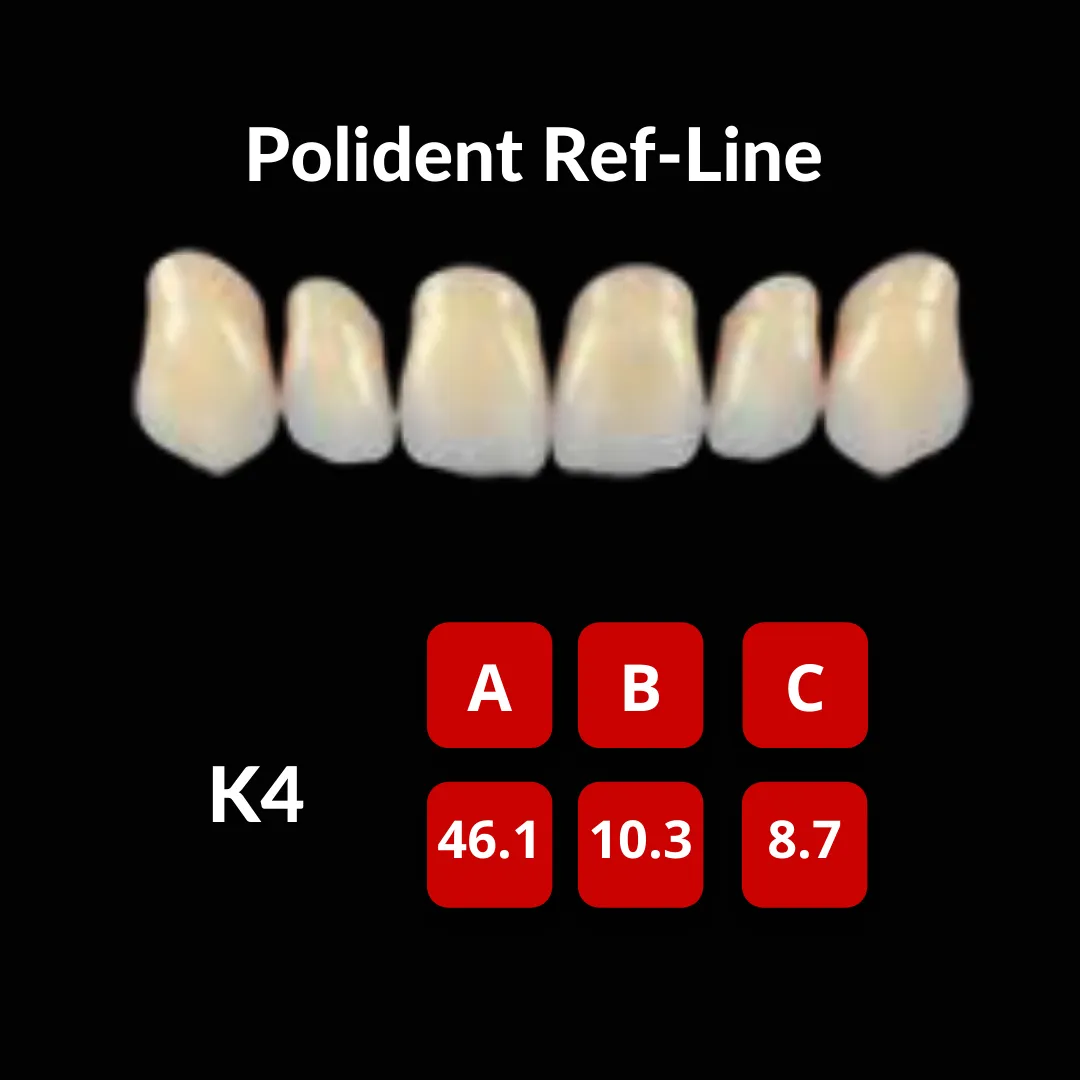 Polident Ref-Line Artificial Teeth Shade A3