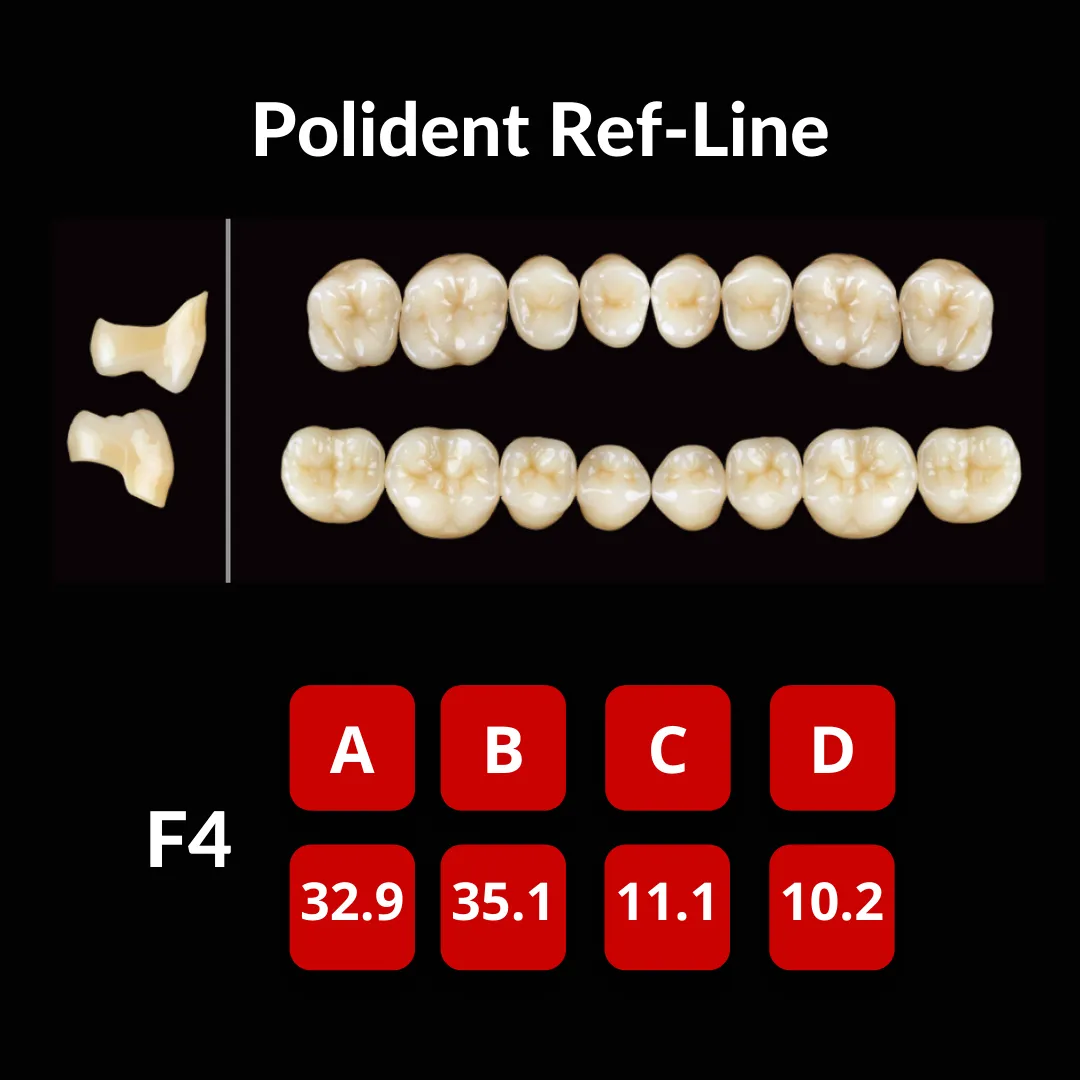 Polident Ref-Line Artificial Teeth Shade A3