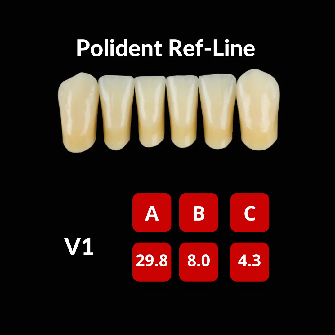 Polident Ref-Line Artificial Teeth Shade A3