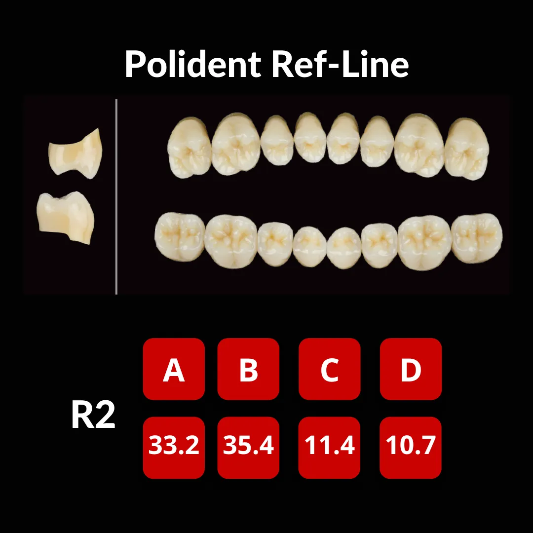 Polident Ref-Line Artificial Teeth Shade A3
