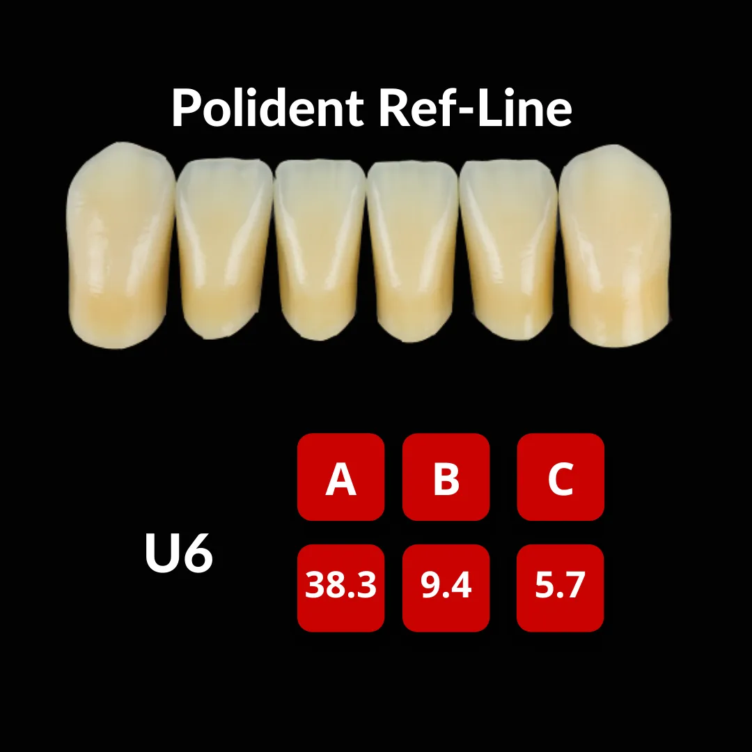 Polident Ref-Line Artificial Teeth Shade A3