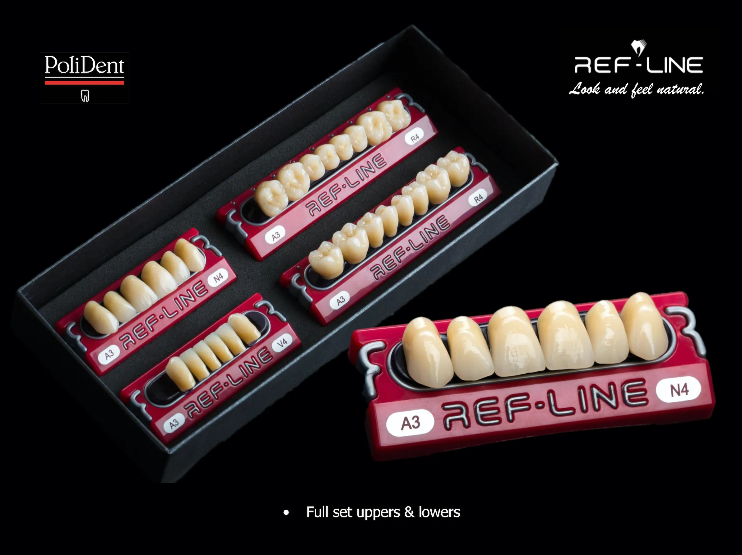 Polident Ref-Line Artificial Teeth Shade A3
