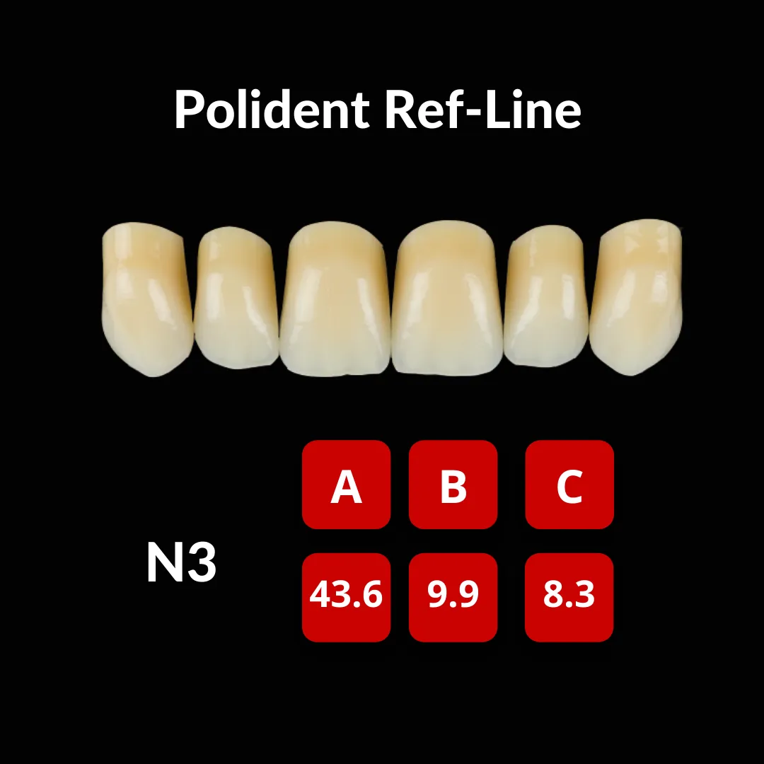 Polident Ref-Line Artificial Teeth Shade A3