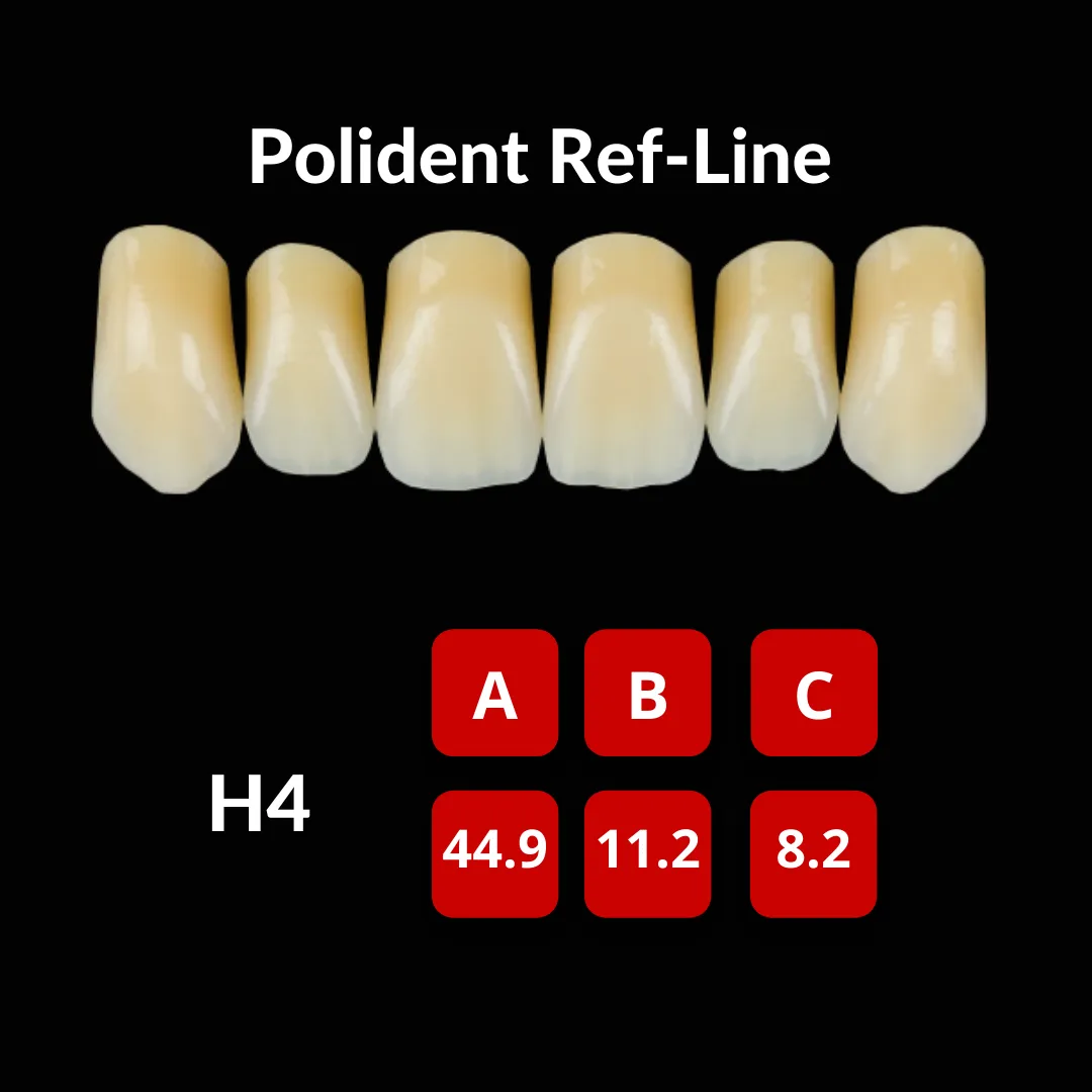 Polident Ref-Line Artificial Teeth Shade A3