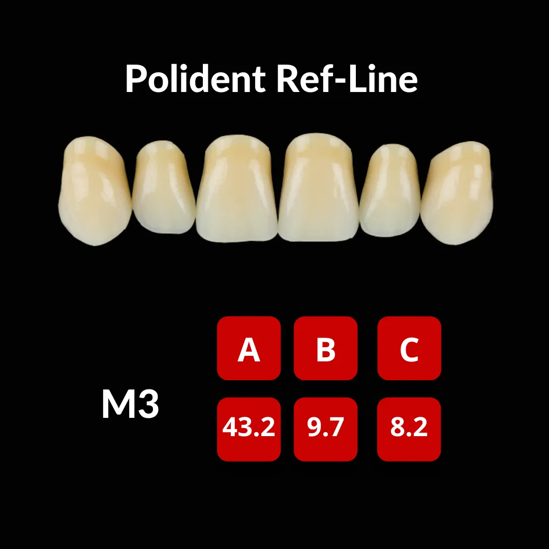 Polident Ref-Line Artificial Teeth Shade A3