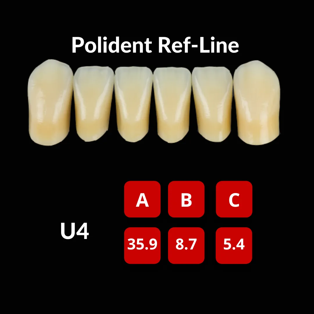 Polident Ref-Line Artificial Teeth Shade A3