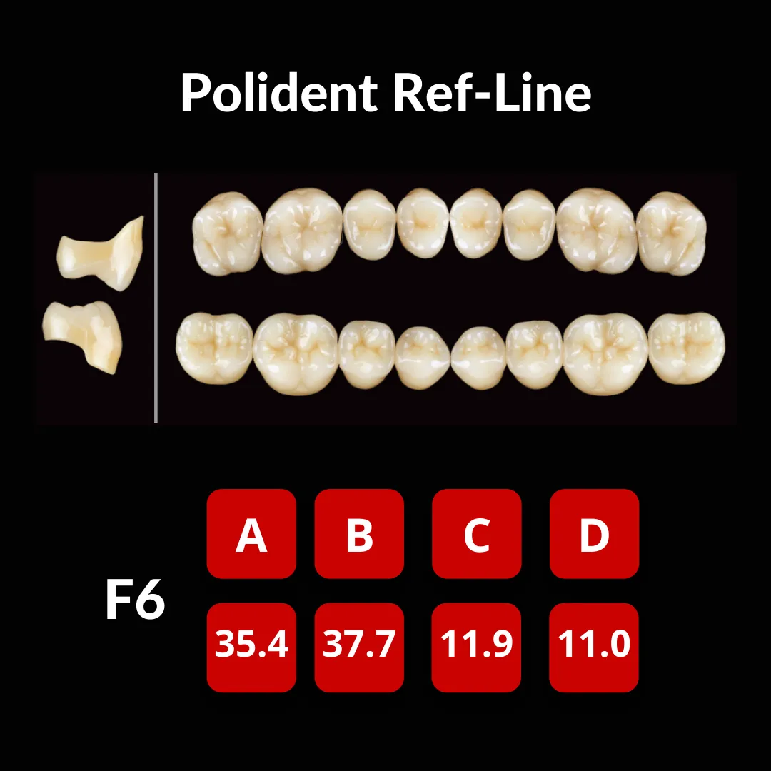 Polident Ref-Line Artificial Teeth Shade A3