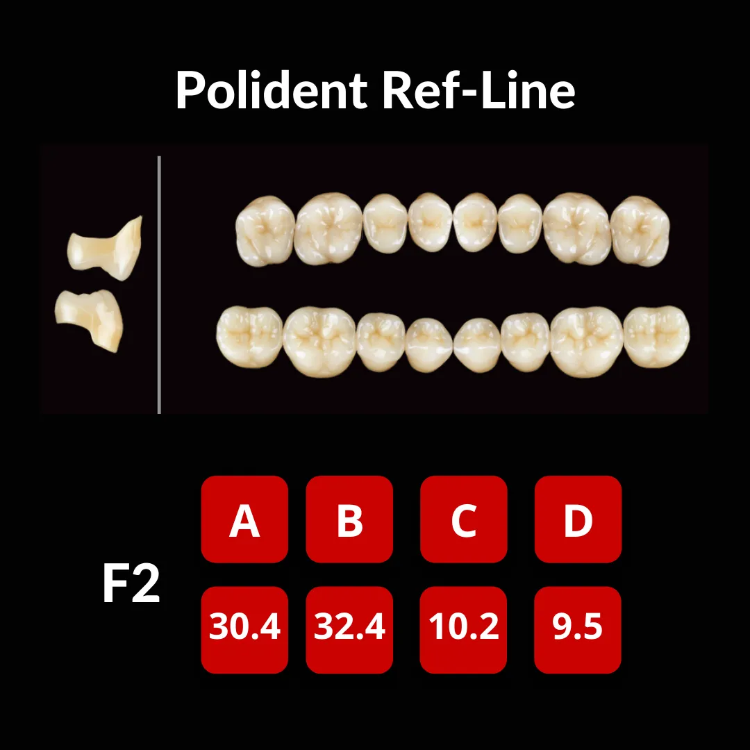 Polident Ref-Line Artificial Teeth Shade A3