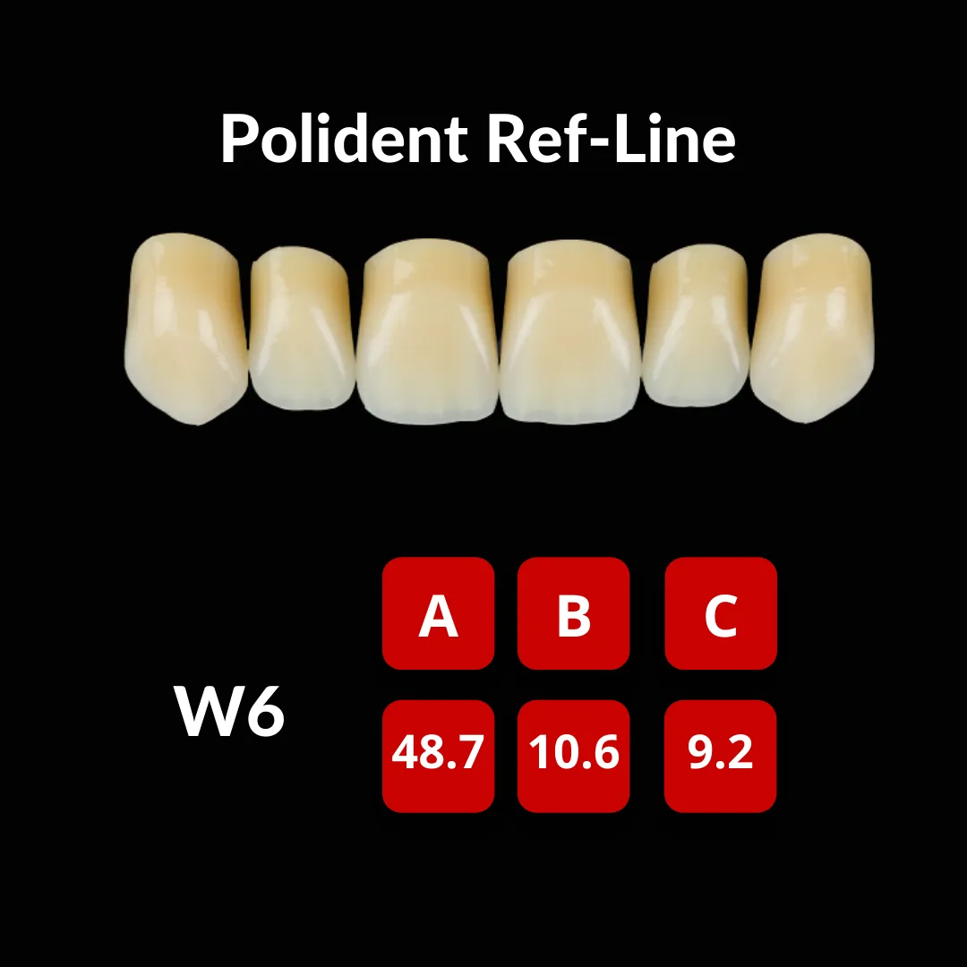 Polident Ref-Line Artificial Teeth Shade A3