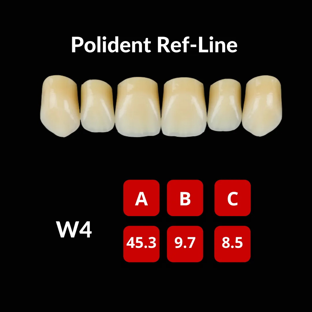 Polident Ref-Line Artificial Teeth Shade A3