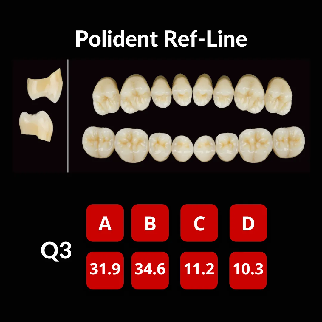 Polident Ref-Line Artificial Teeth Shade A3