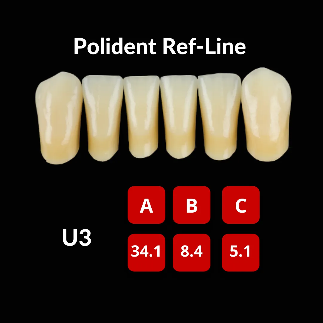Polident Ref-Line Artificial Teeth Shade A3