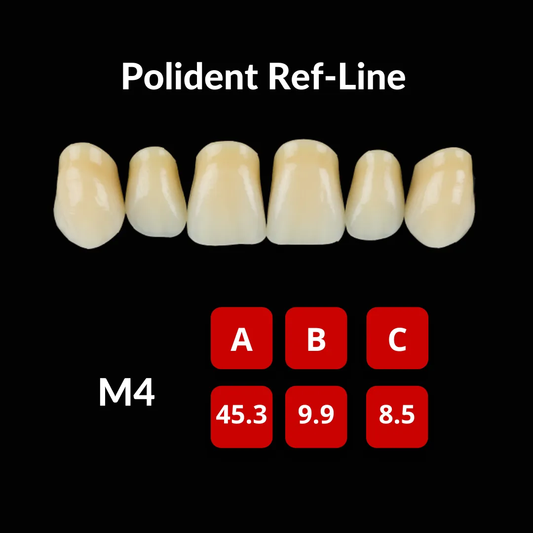 Polident Ref-Line Artificial Teeth Shade A3