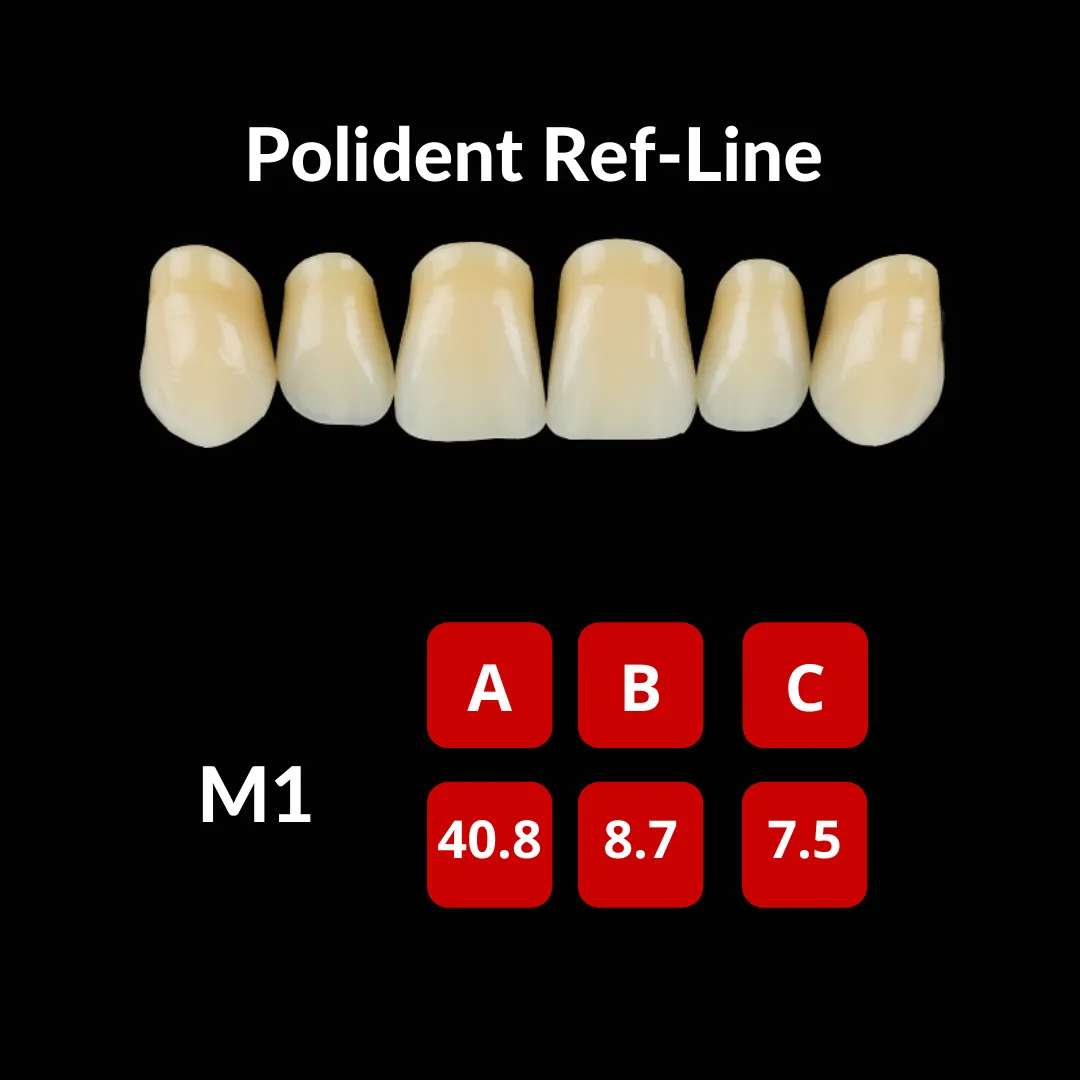 Polident Ref-Line Artificial Teeth Shade A3