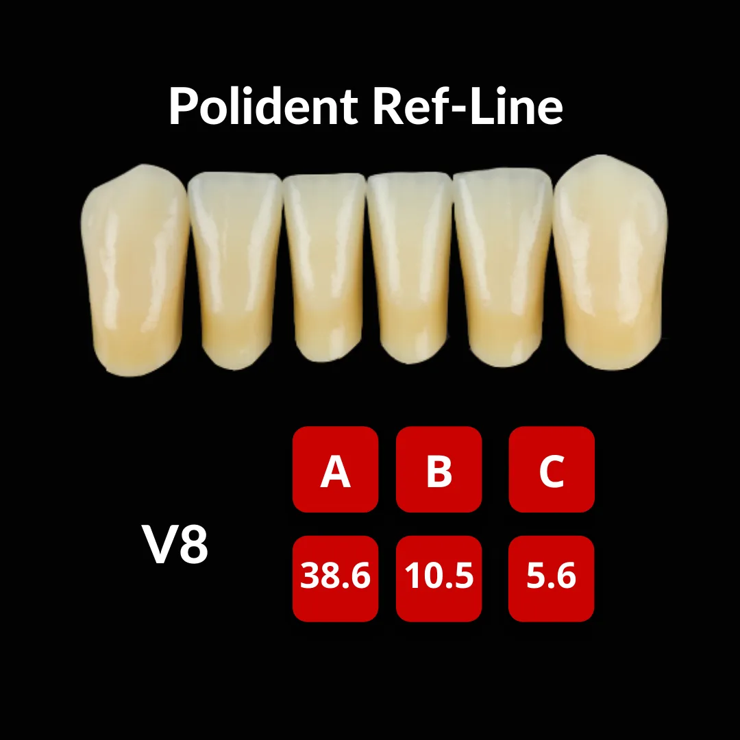 Polident Ref-Line Artificial Teeth Shade A3