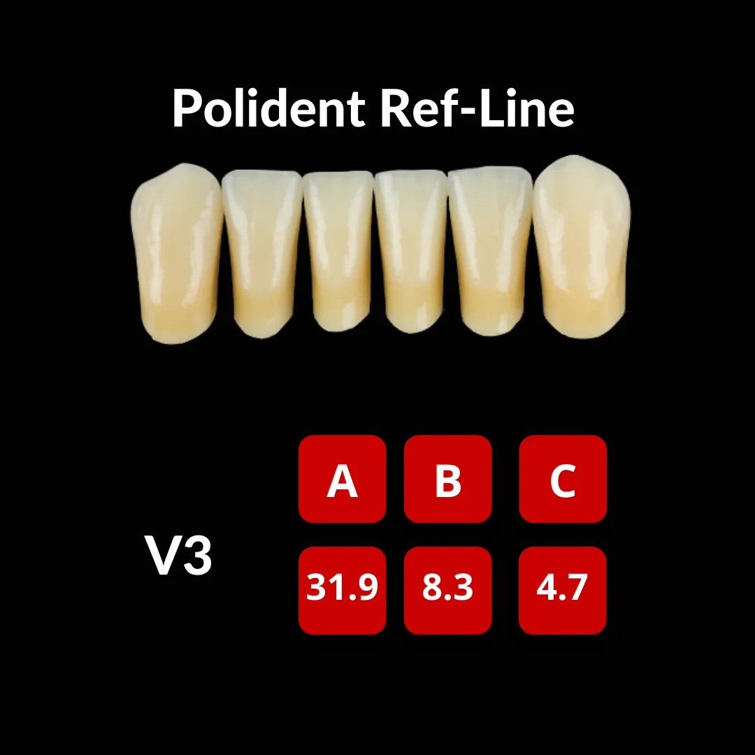 Polident Ref-Line Artificial Teeth Shade A3