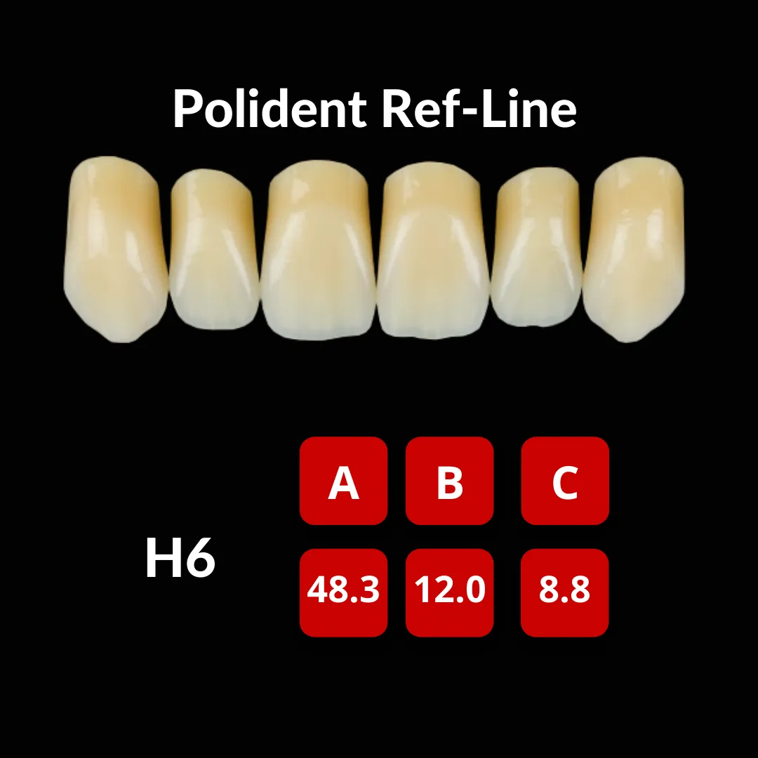 Polident Ref-Line Artificial Teeth Shade A3