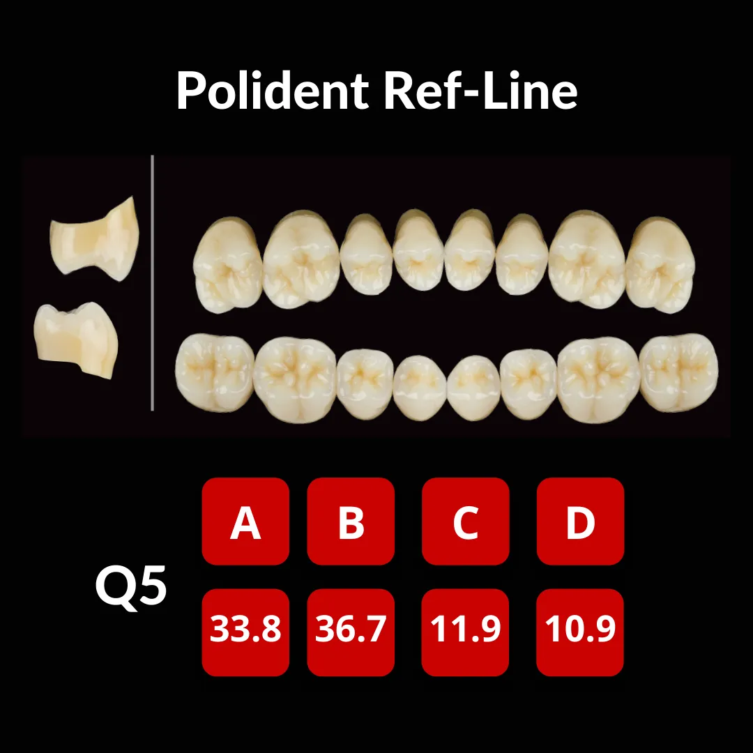Polident Ref-Line Artificial Teeth Shade A3