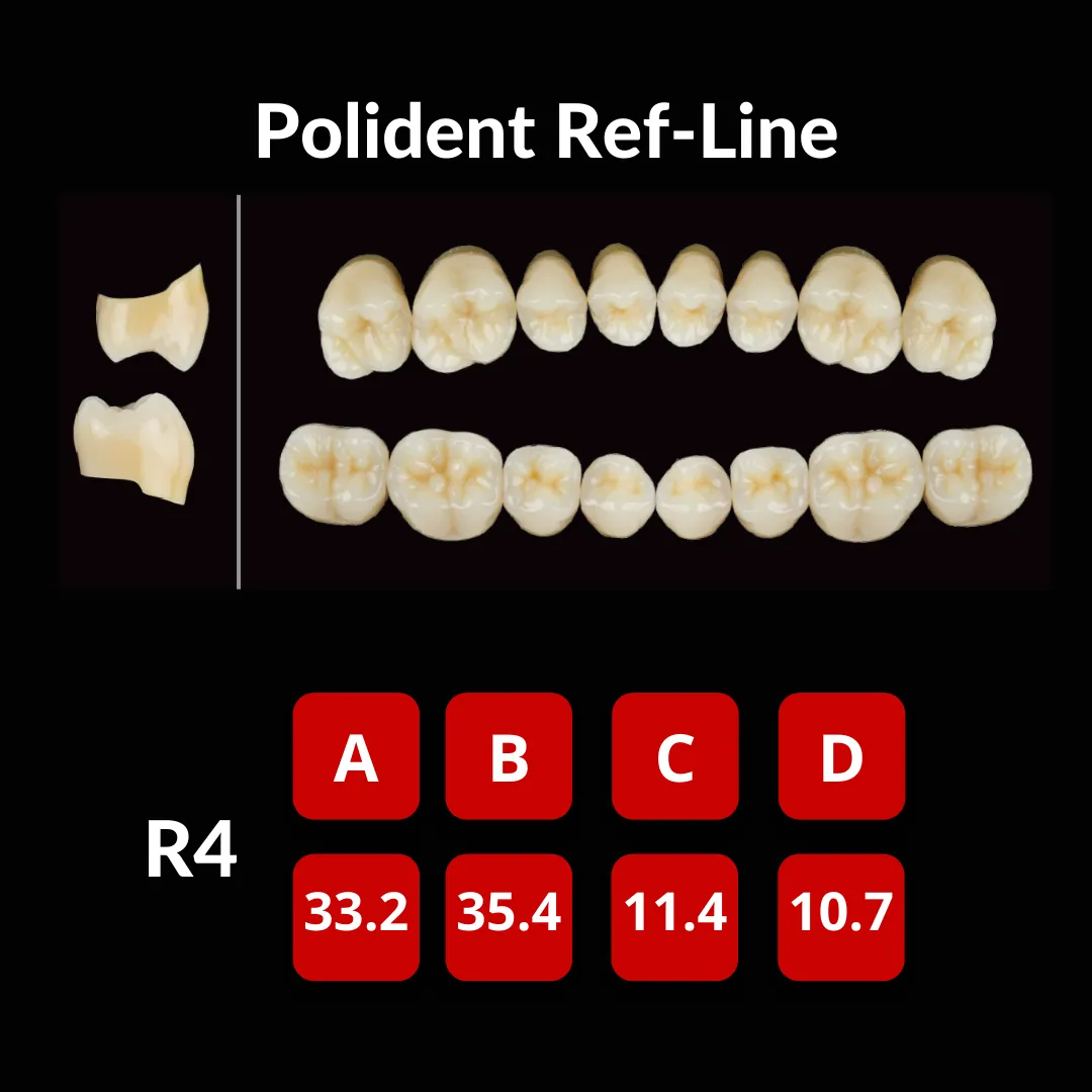 Polident Ref-Line Artificial Teeth Shade A3