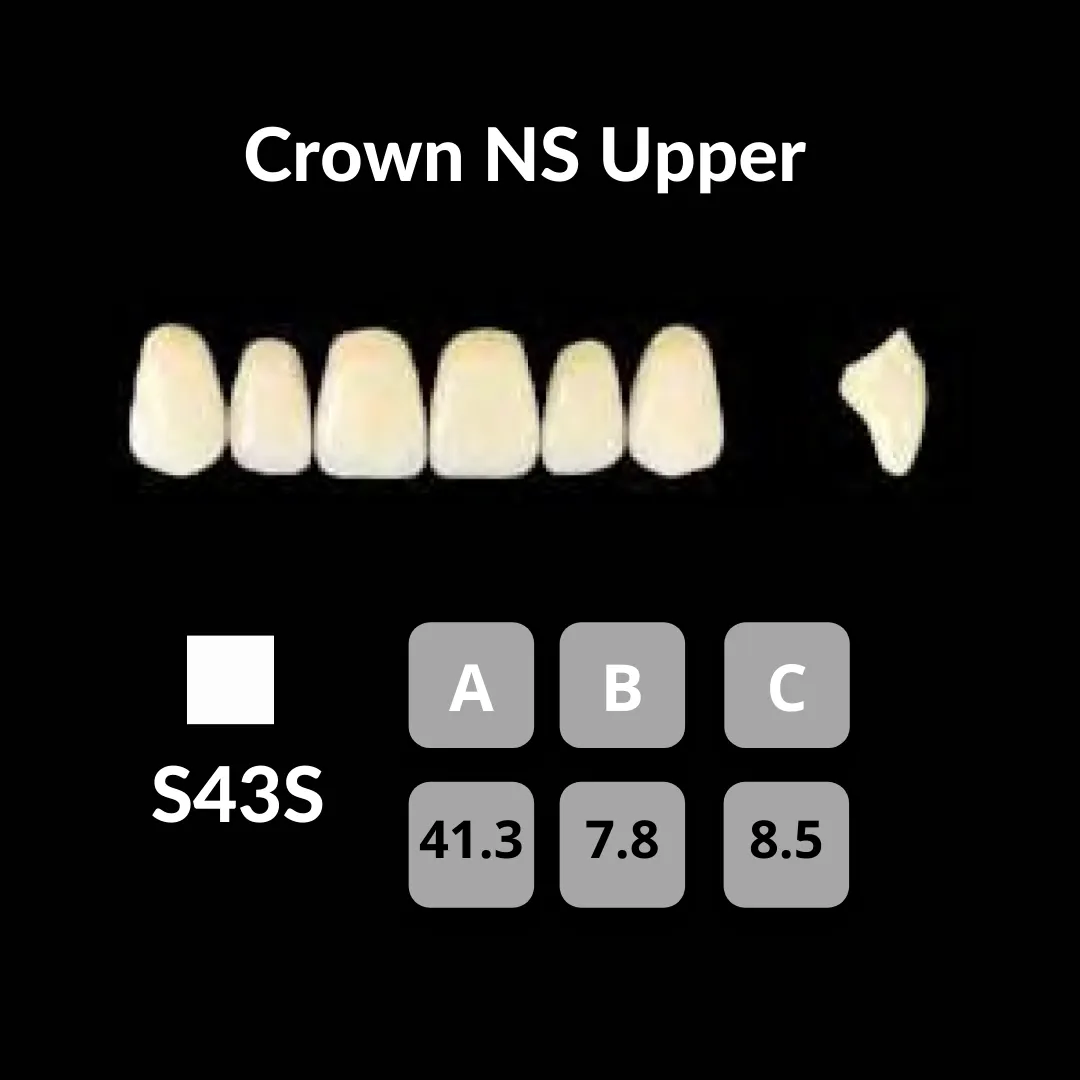 Yamahachi - Crown NS Teeth Shade A3