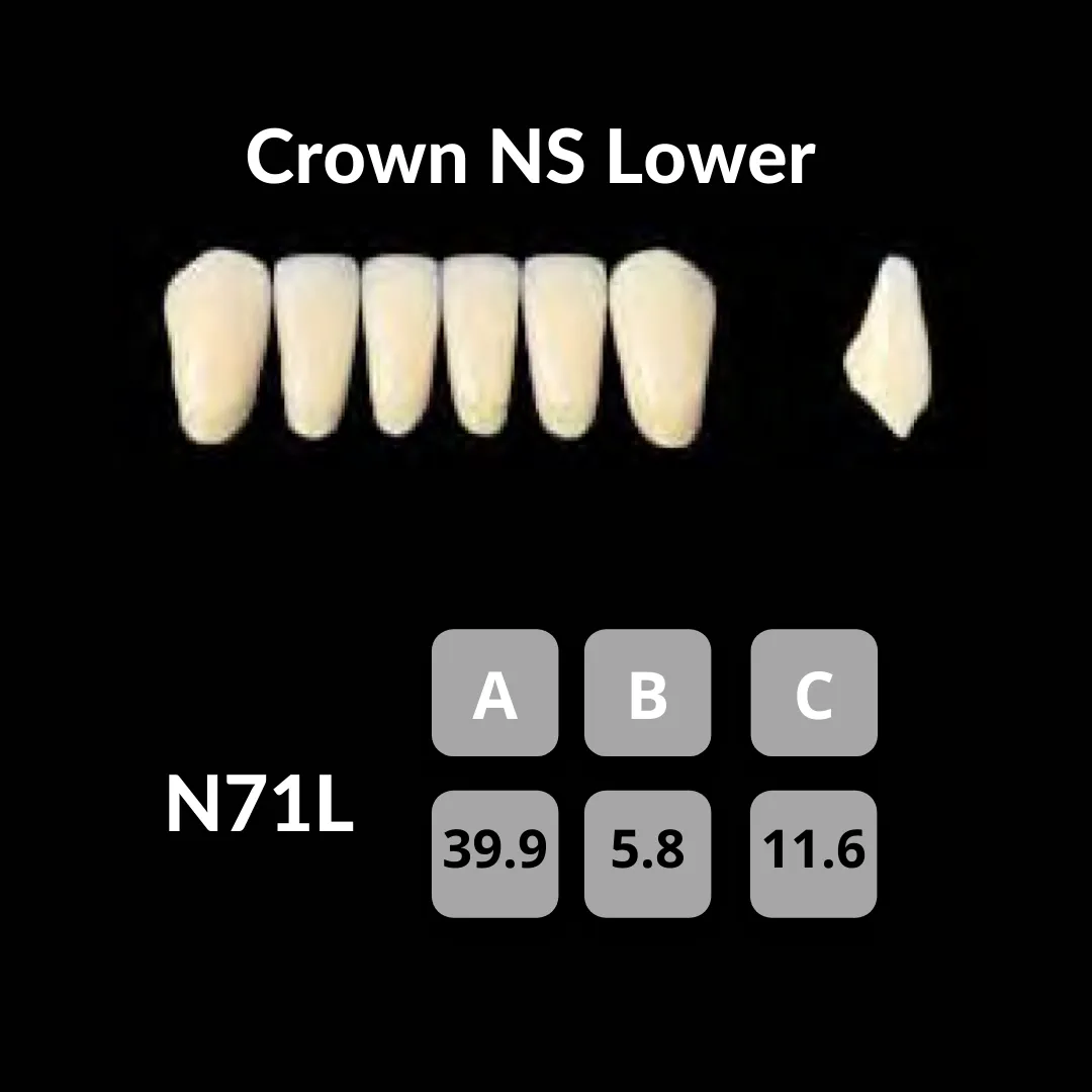 Yamahachi - Crown NS Teeth Shade A3