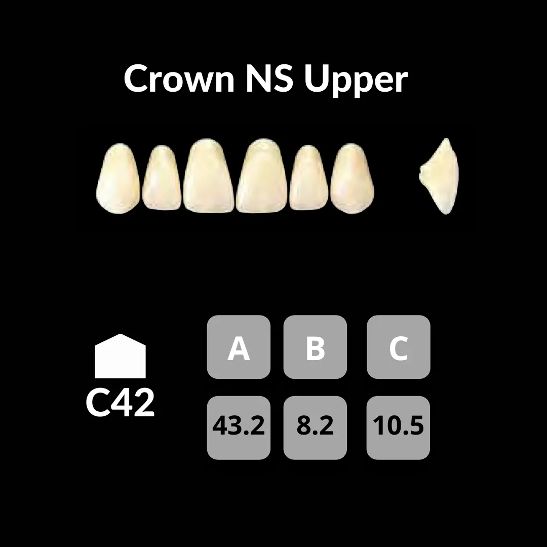 Yamahachi - Crown NS Teeth Shade A3
