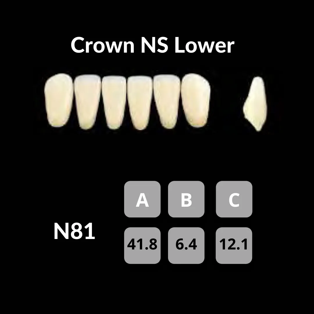 Yamahachi - Crown NS Teeth Shade A3