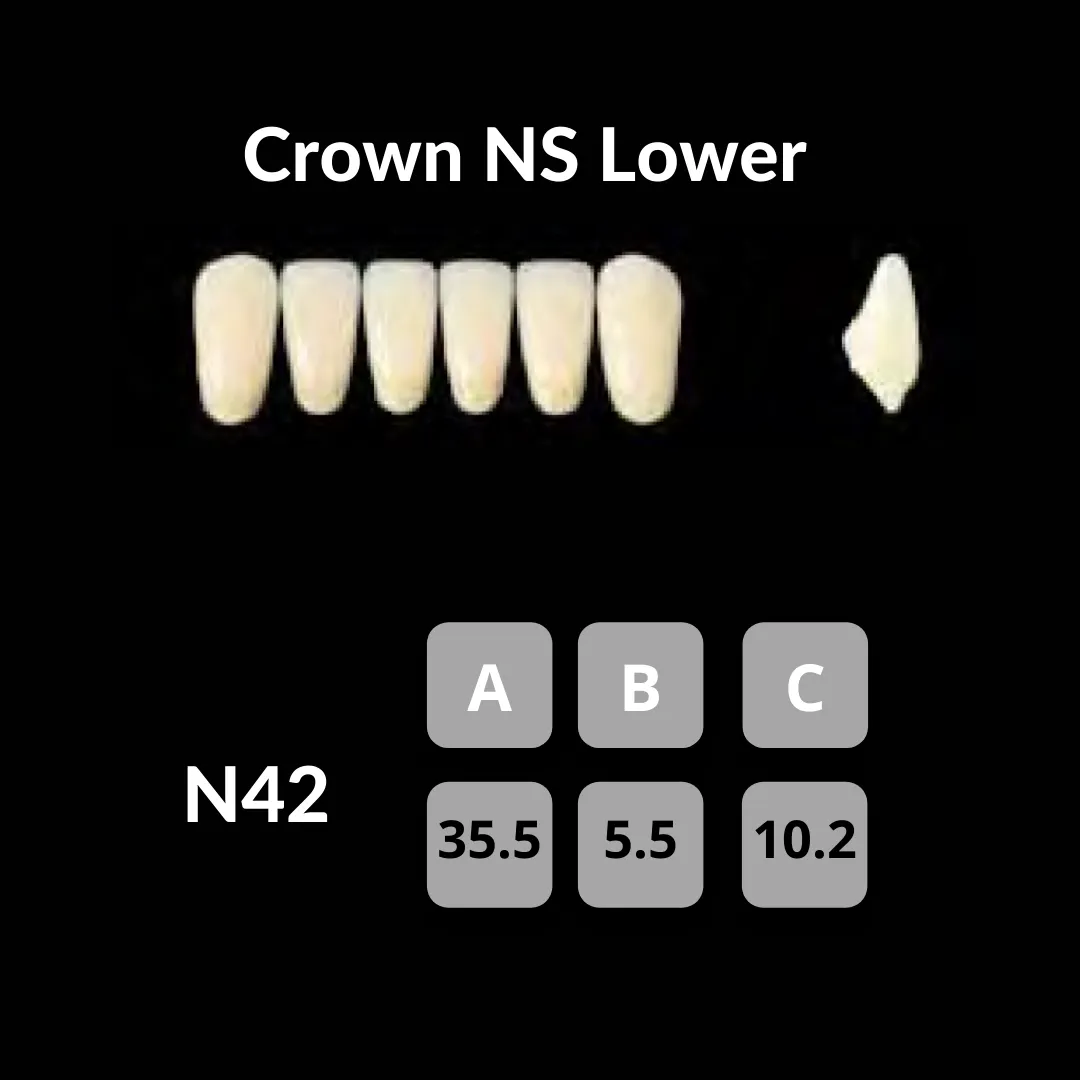 Yamahachi - Crown NS Teeth Shade A3