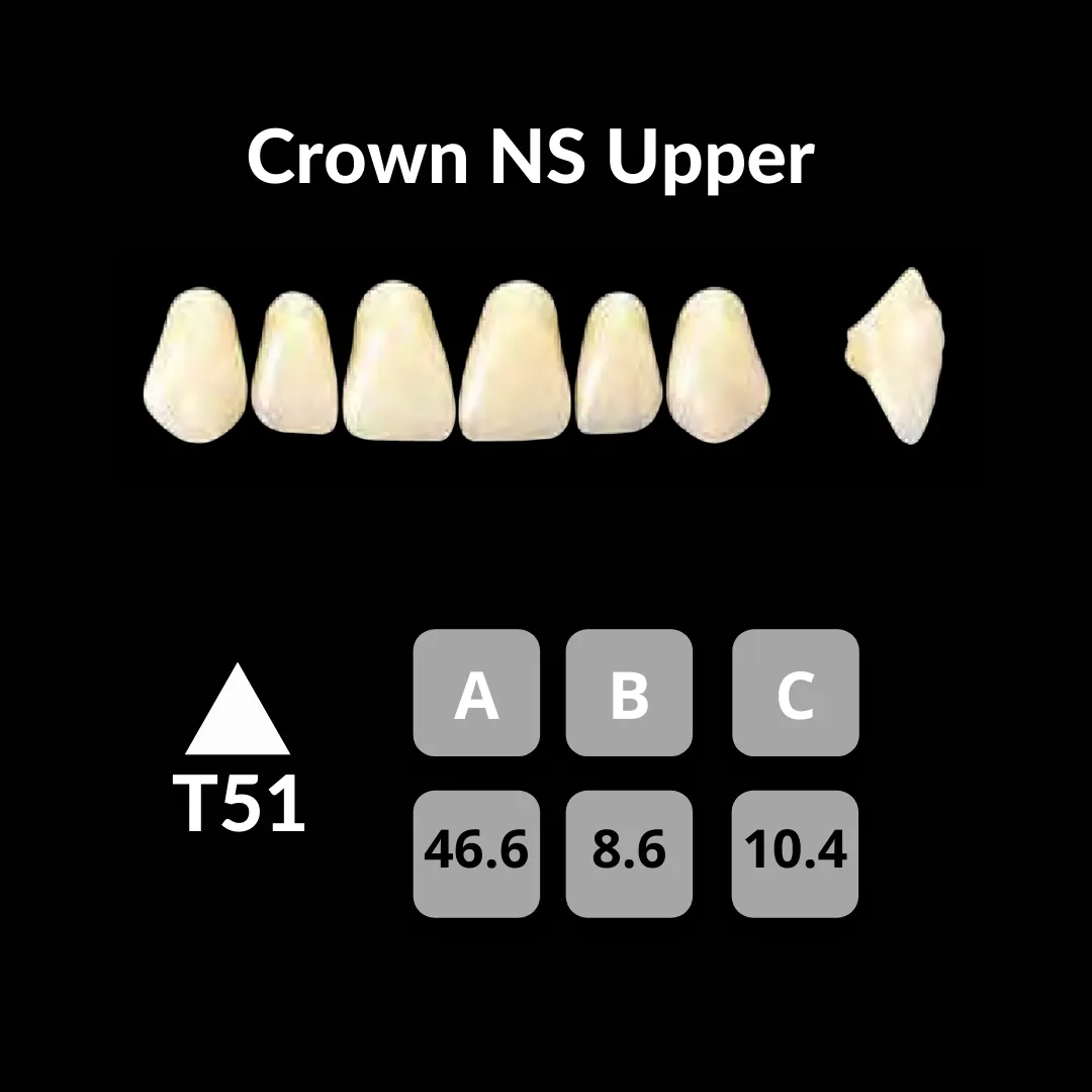 Yamahachi - Crown NS Teeth Shade A3