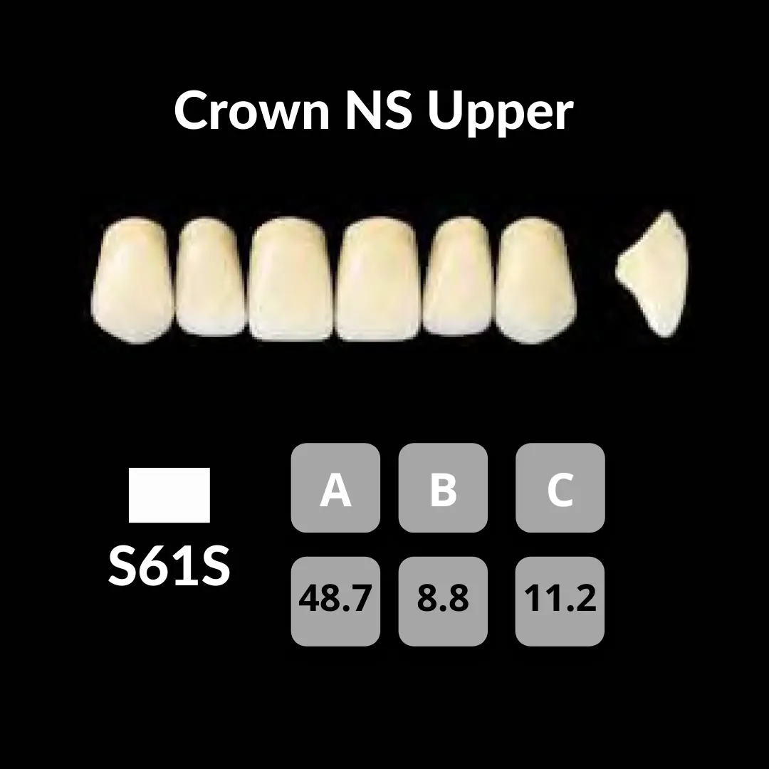 Yamahachi - Crown NS Teeth Shade A3
