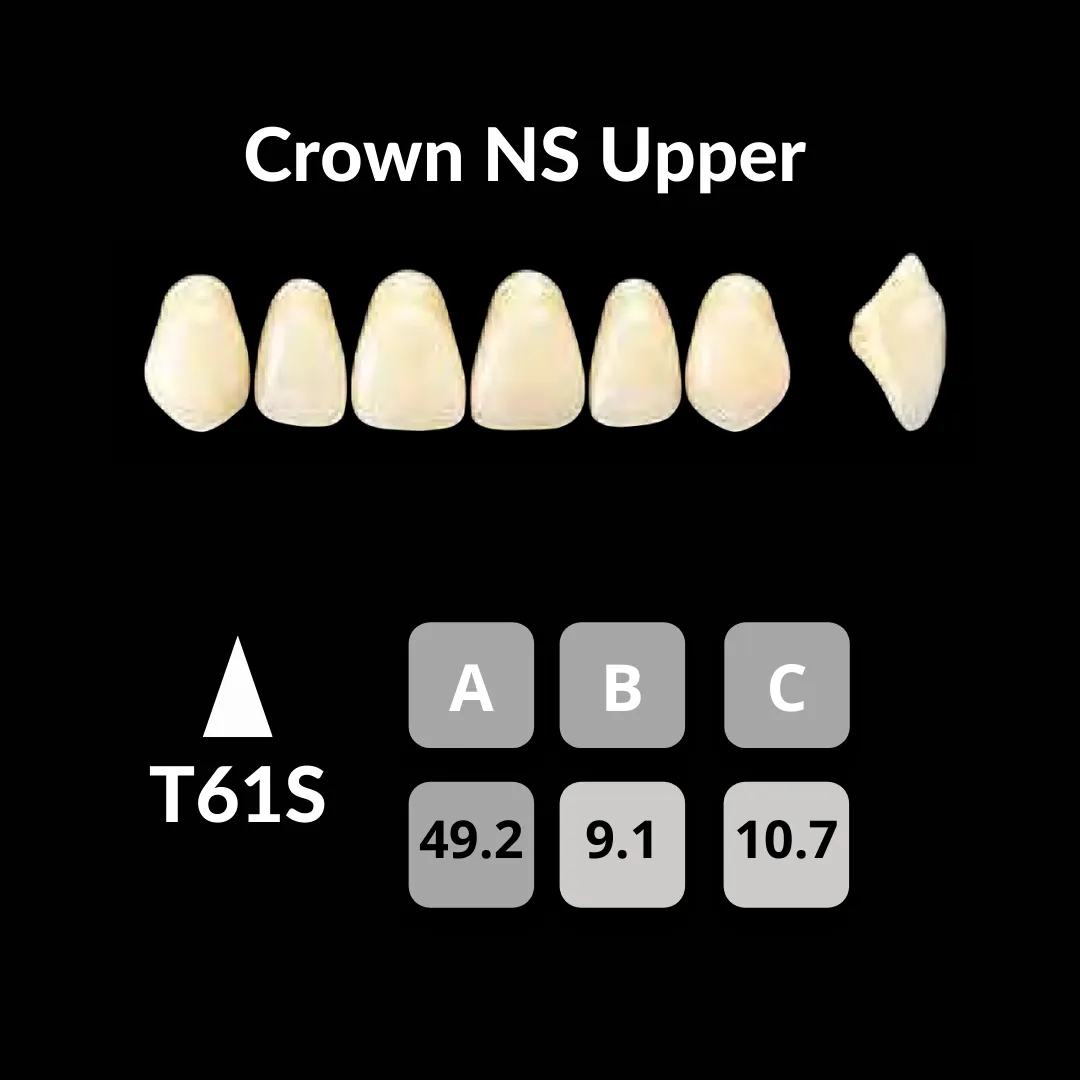 Yamahachi - Crown NS Teeth Shade A3