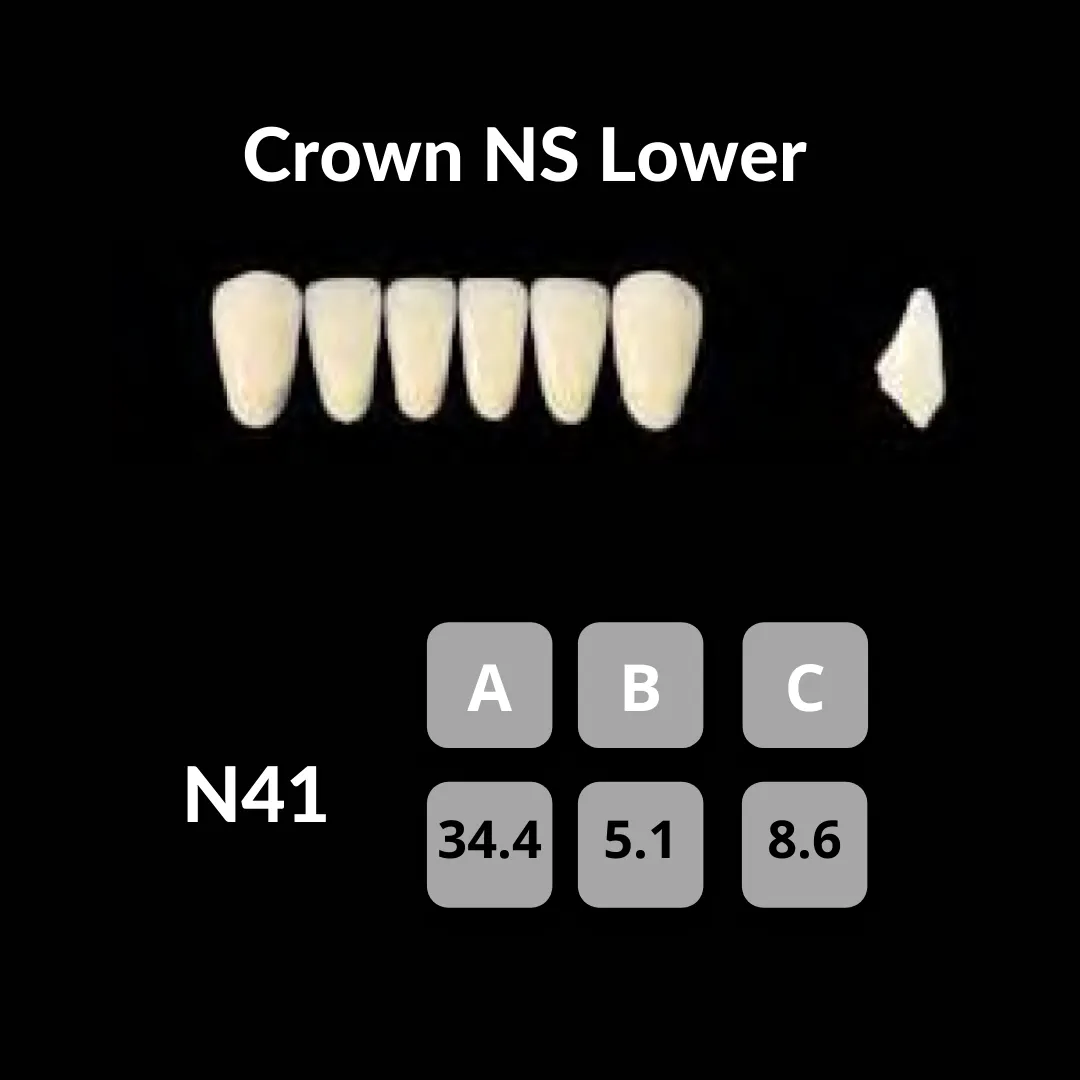 Yamahachi - Crown NS Teeth Shade A3