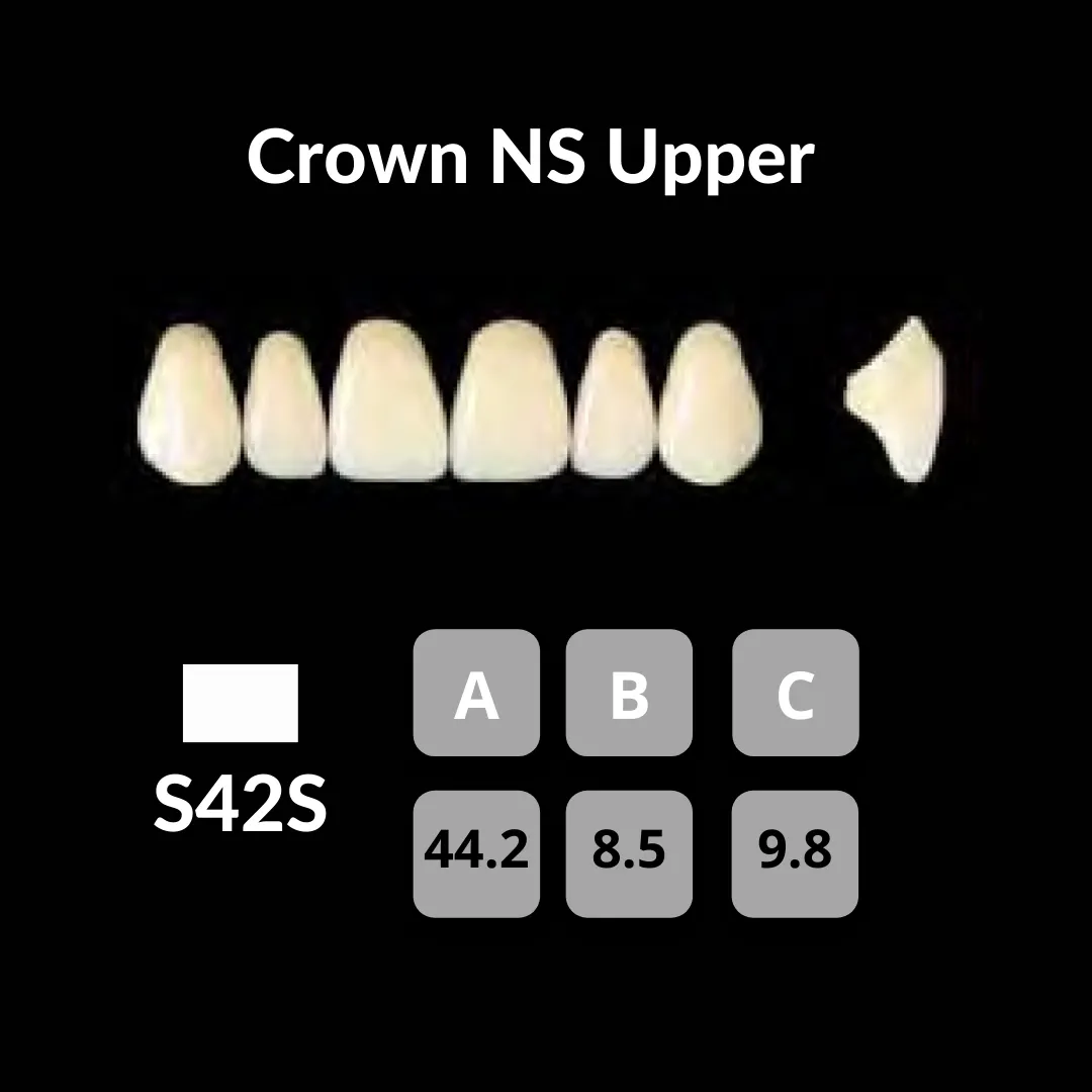 Yamahachi - Crown NS Teeth Shade A3