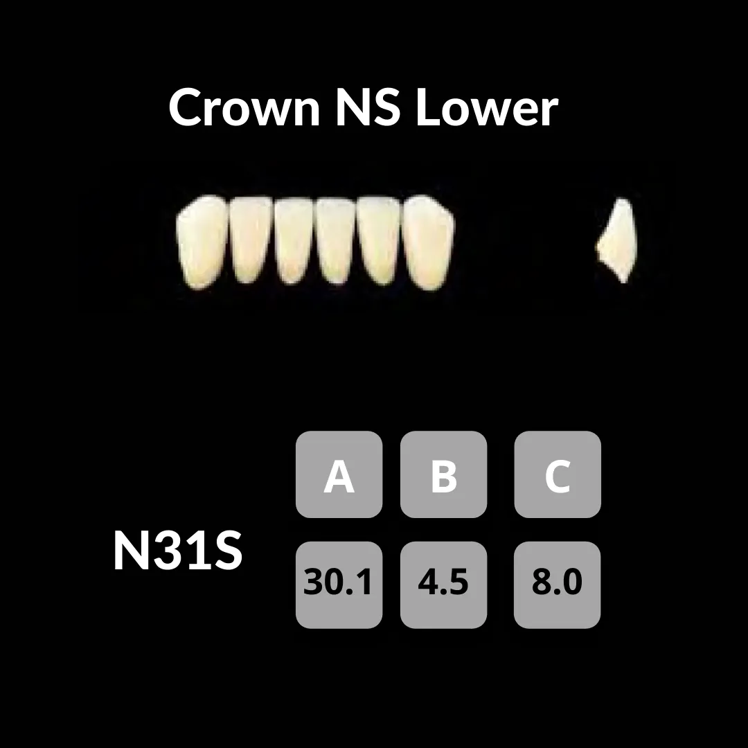 Yamahachi - Crown NS Teeth Shade A3