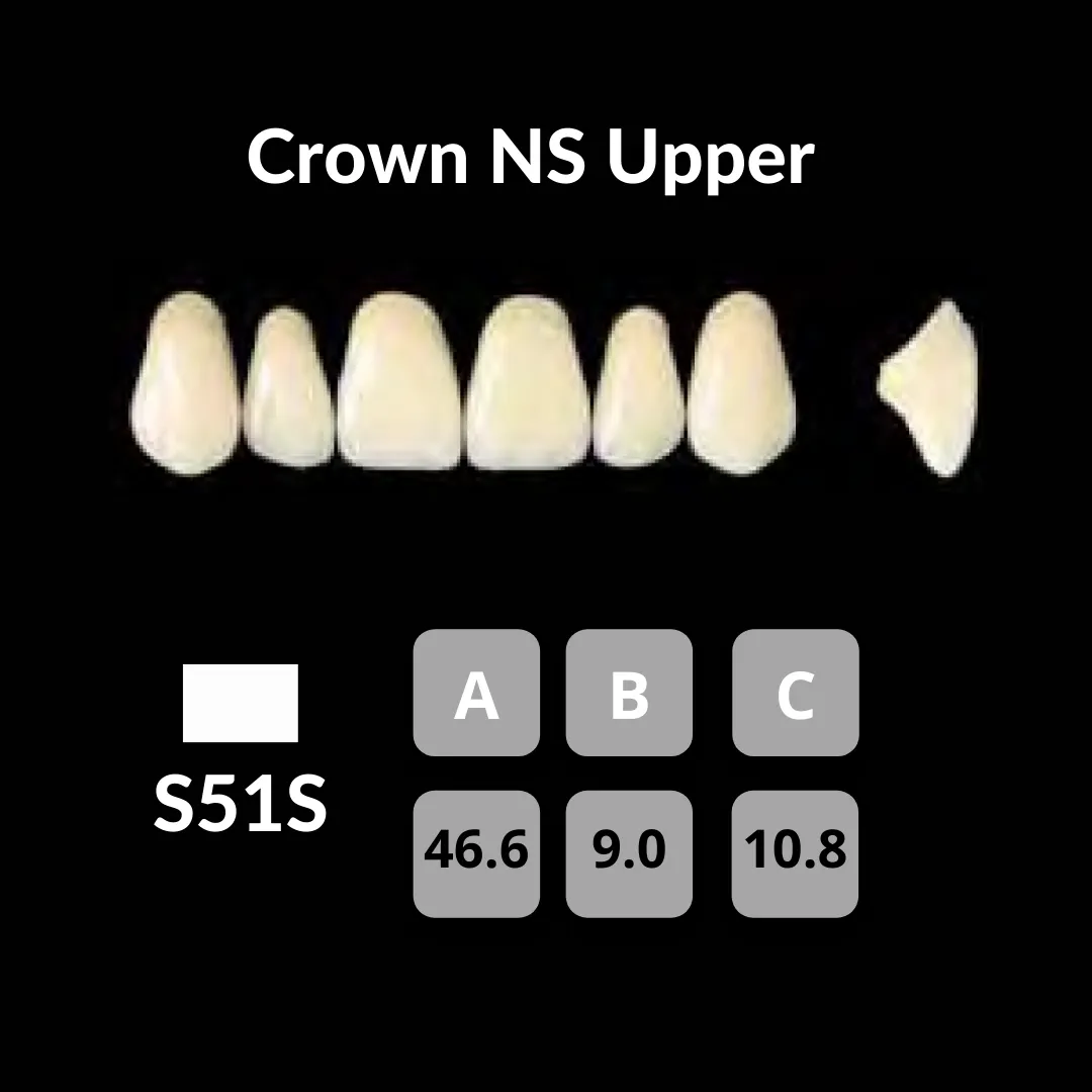 Yamahachi - Crown NS Teeth Shade A3