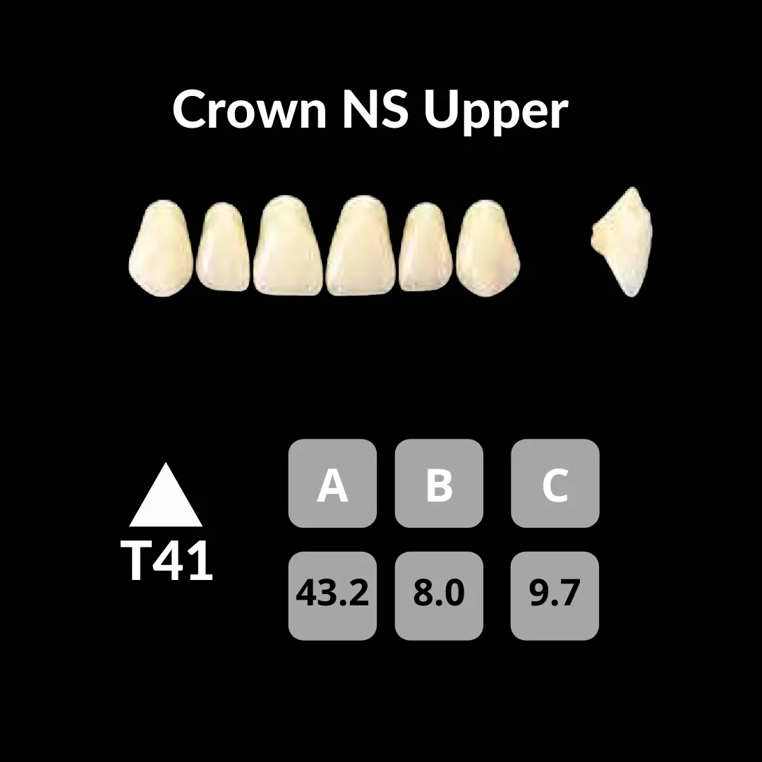 Yamahachi - Crown NS Teeth Shade A3