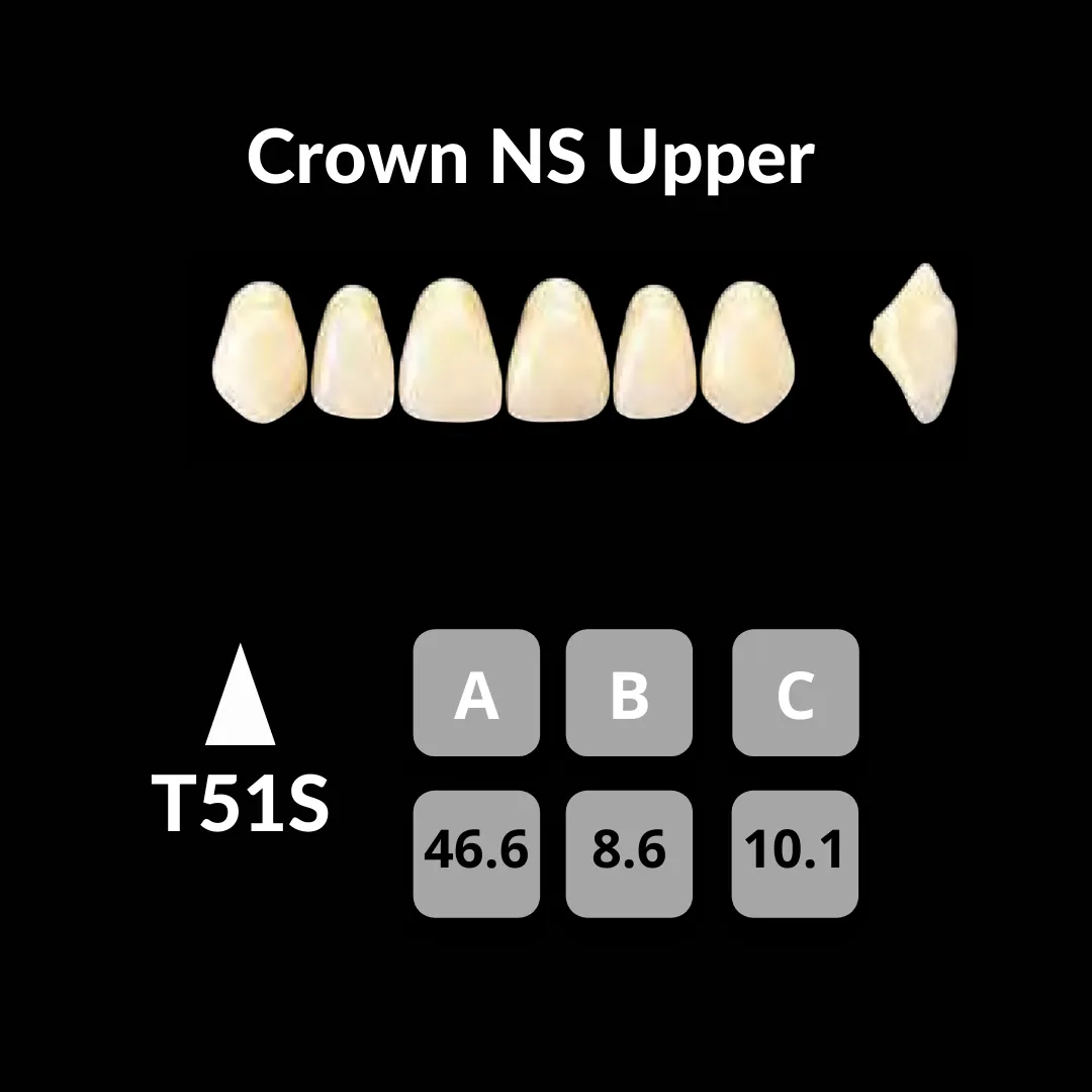 Yamahachi - Crown NS Teeth Shade A3
