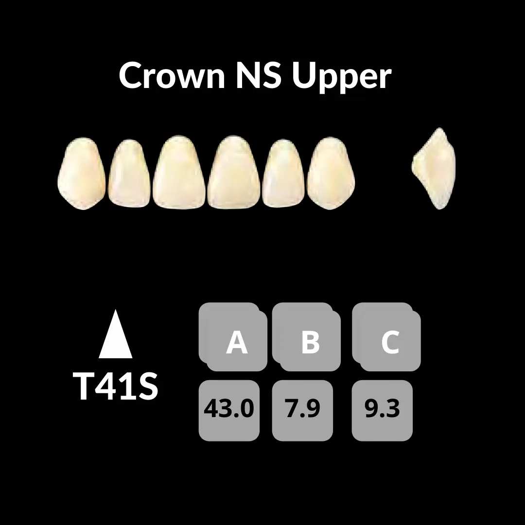 Yamahachi - Crown NS Teeth Shade A3