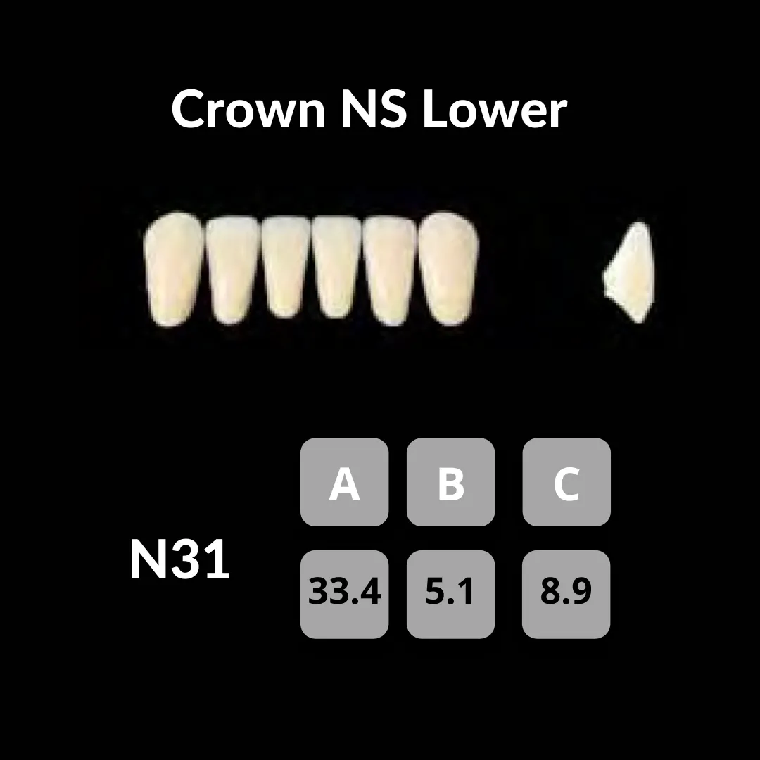 Yamahachi - Crown NS Teeth Shade A3