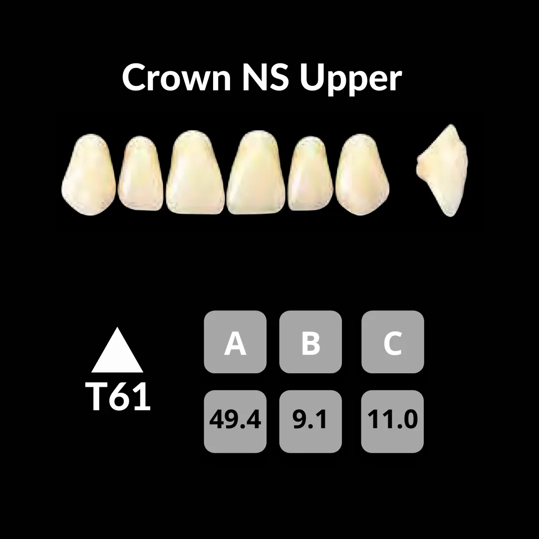 Yamahachi - Crown NS Teeth Shade A3