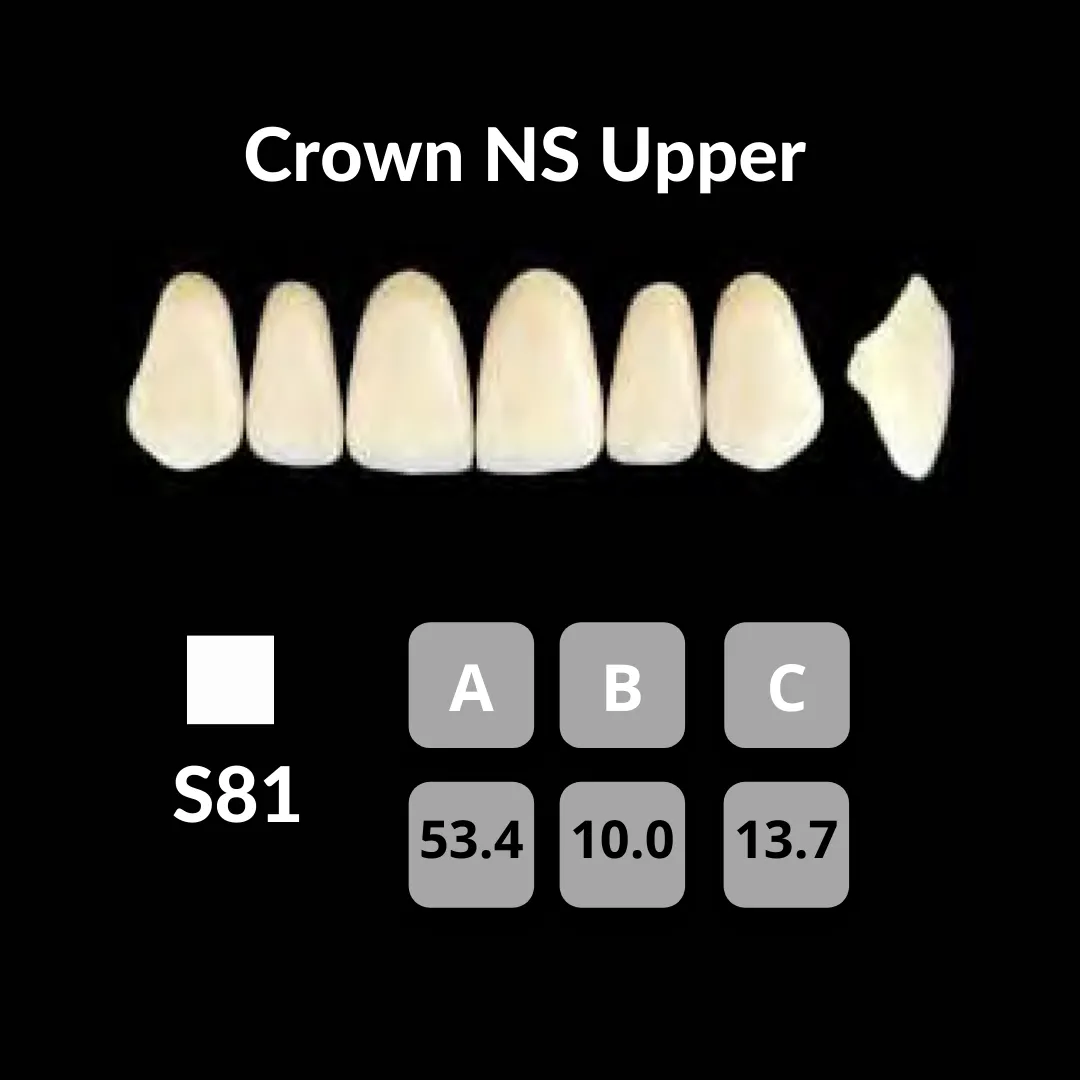 Yamahachi - Crown NS Teeth Shade A3