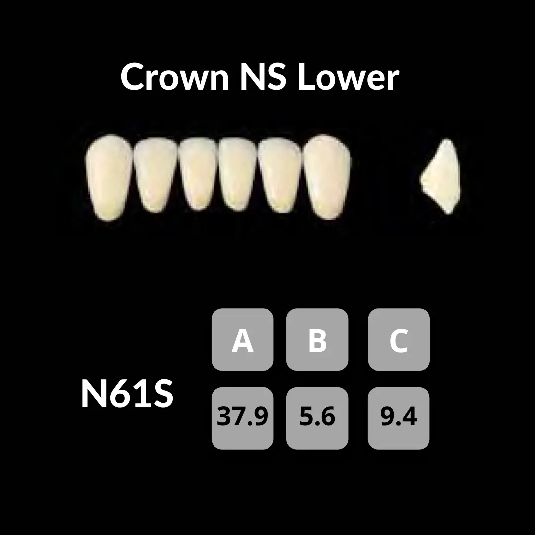 Yamahachi - Crown NS Teeth Shade A3