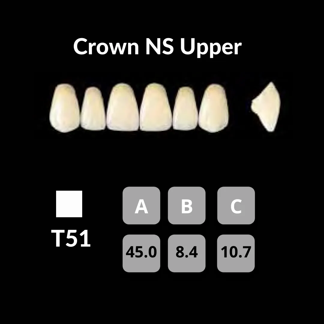 Yamahachi - Crown NS Teeth Shade W0.5
