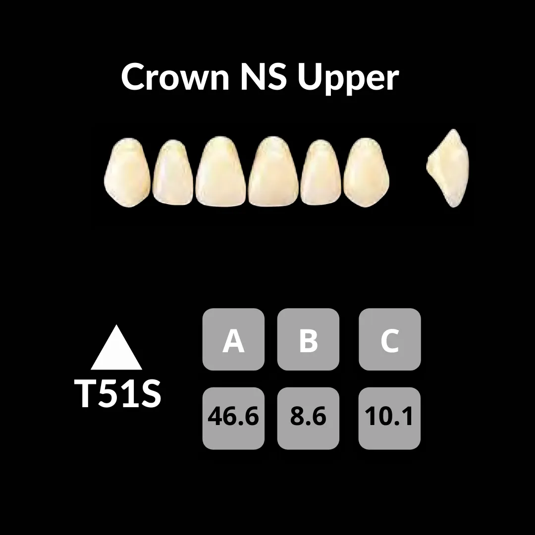 Yamahachi - Crown NS Teeth Shade W0.5