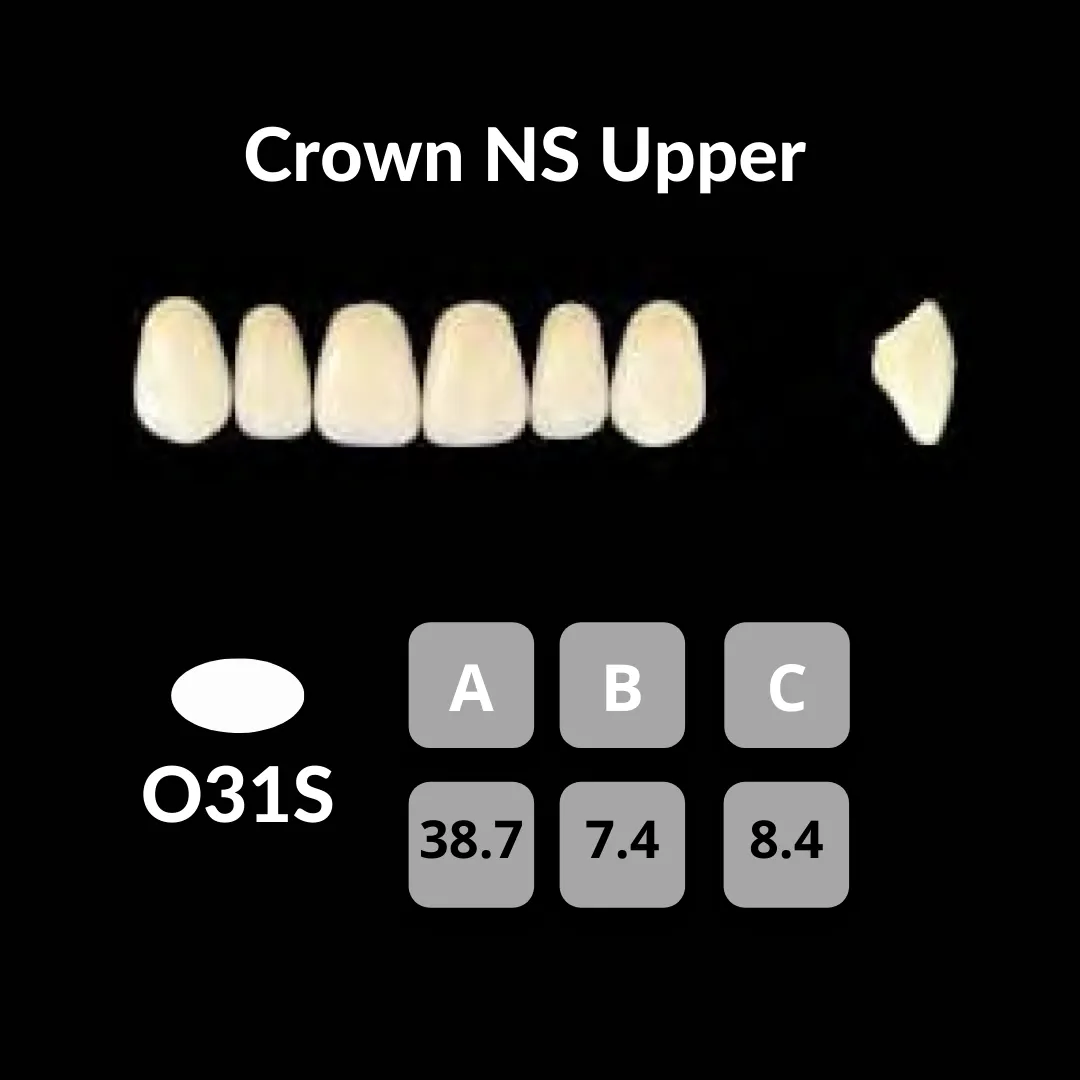 Yamahachi - Crown NS Teeth Shade W0.5